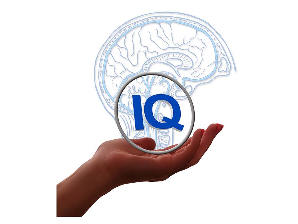 Fakta Seputar Tes IQ yang Selama ini Belum Diketahui