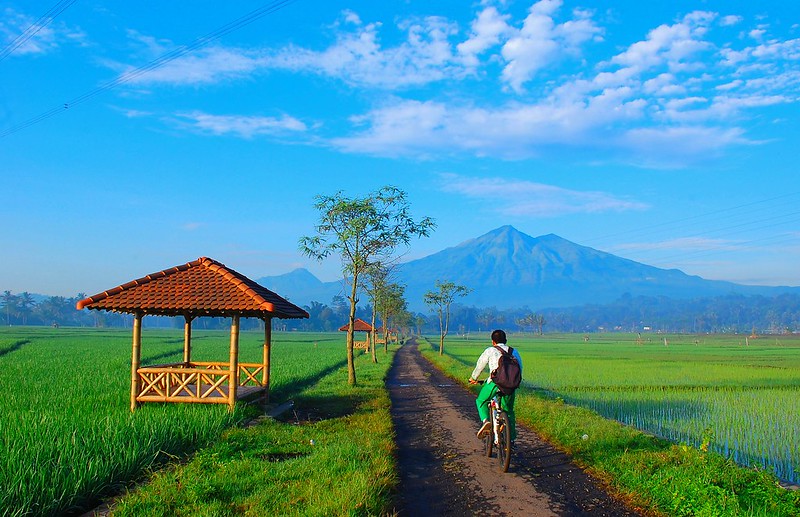 Pemandangan desa di Salatiga. Foto Todung Gultim @Flickr