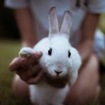Ilustrasi anak dengan hewan peliharaannya @unsplash