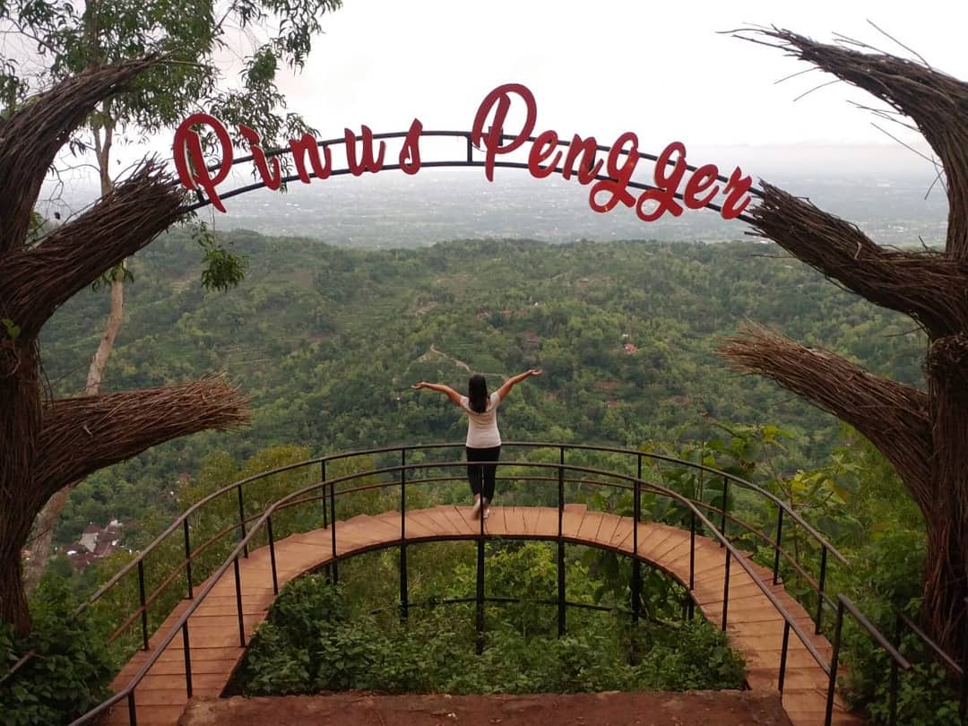 Pinus Pengger. Pict by IG @berlianna_ma