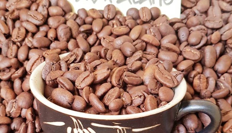 Tanaman kopi, selain banyak dibudidayakan di Pulau Jawa, ternyata juga banyak perkebunannya di daerah Sumatera Utara.